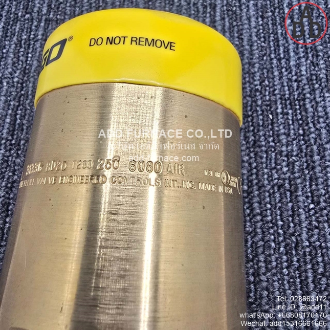 Rego 3133G Safety Relief Valve (5)